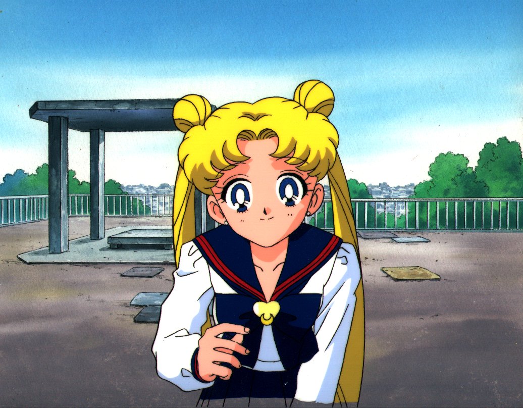   sailor moon sailormoon usagi usa SuperSailormoon                inner iner iners     