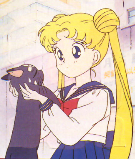   sailor moon sailormoon usagi usa SuperSailormoon                inner iner iners     