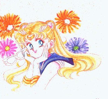   sailor moon sailormoon usagi usa SuperSailormoon                inner iner iners     