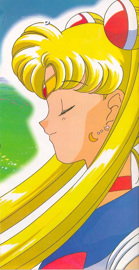   sailor moon sailormoon usagi usa SuperSailormoon                inner iner iners     