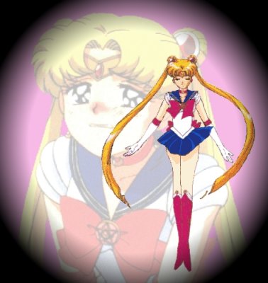   sailor moon sailormoon usagi usa SuperSailormoon                inner iner iners     