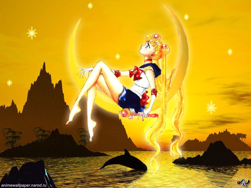   sailor moon sailormoon usagi usa SuperSailormoon                inner iner iners     