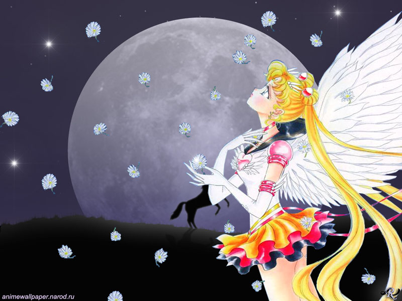   sailor moon sailormoon usagi usa SuperSailormoon                inner iner iners     