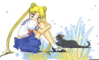   sailor moon sailormoon usagi usa SuperSailormoon                inner iner iners     