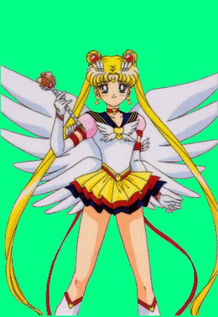   sailor moon sailormoon usagi usa SuperSailormoon                inner iner iners     