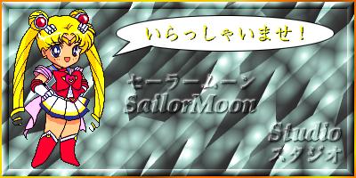   sailor moon sailormoon usagi usa SuperSailormoon                inner iner iners     