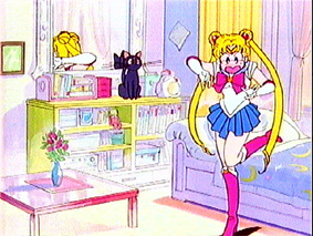   sailor moon sailormoon usagi usa SuperSailormoon                inner iner iners     