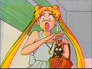   sailor moon sailormoon usagi usa SuperSailormoon                inner iner iners     