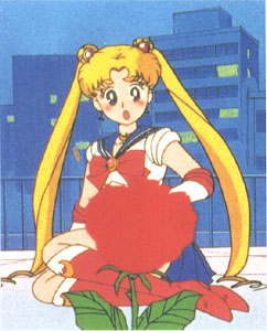   sailor moon sailormoon usagi usa SuperSailormoon                inner iner iners     