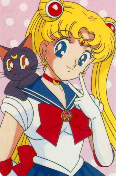   sailor moon sailormoon usagi usa SuperSailormoon                inner iner iners     