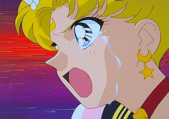   sailor moon sailormoon usagi usa SuperSailormoon                inner iner iners     