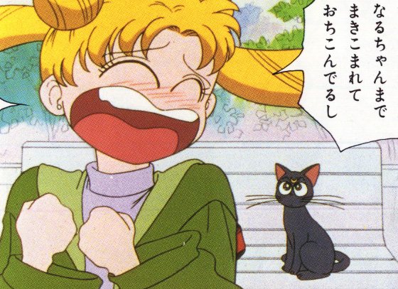   sailor moon sailormoon usagi usa SuperSailormoon                inner iner iners     