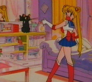   sailor moon sailormoon usagi usa SuperSailormoon                inner iner iners     