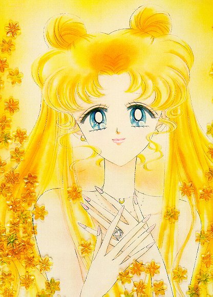   sailor moon sailormoon usagi usa SuperSailormoon                inner iner iners     