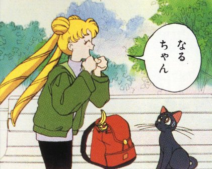   sailor moon sailormoon usagi usa SuperSailormoon                inner iner iners     