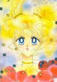   sailor moon sailormoon usagi usa SuperSailormoon                inner iner iners     