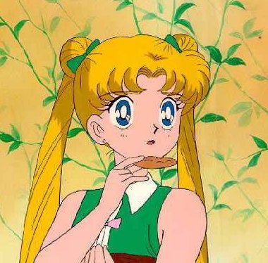   sailor moon sailormoon usagi usa SuperSailormoon                inner iner iners     