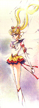   sailor moon sailormoon usagi usa SuperSailormoon                inner iner iners     