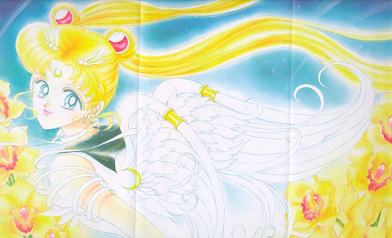   sailor moon sailormoon usagi usa SuperSailormoon                inner iner iners     