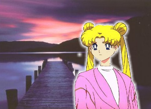   sailor moon sailormoon usagi usa SuperSailormoon                inner iner iners     