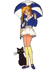   sailor moon sailormoon usagi usa SuperSailormoon                inner iner iners     