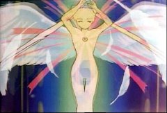   sailor moon sailormoon usagi usa SuperSailormoon                inner iner iners     