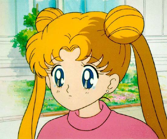   sailor moon sailormoon usagi usa SuperSailormoon                inner iner iners     