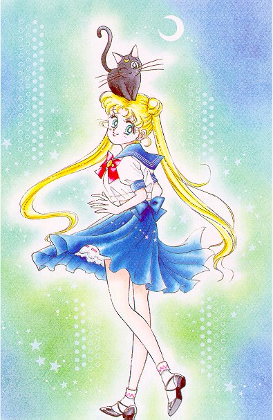   sailor moon sailormoon usagi usa SuperSailormoon                inner iner iners     