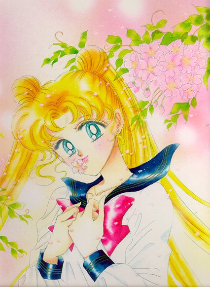   sailor moon sailormoon usagi usa SuperSailormoon                inner iner iners     