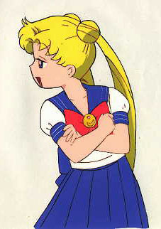   sailor moon sailormoon usagi usa SuperSailormoon                inner iner iners     