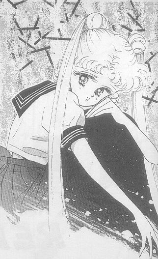   sailor moon sailormoon usagi usa SuperSailormoon                inner iner iners     