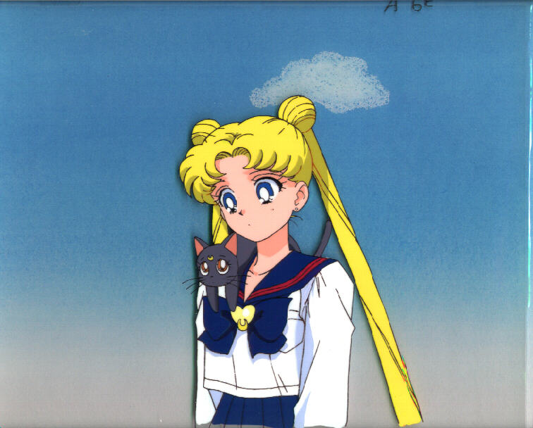   sailor moon sailormoon usagi usa SuperSailormoon                inner iner iners     