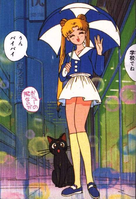   sailor moon sailormoon usagi usa SuperSailormoon                inner iner iners     