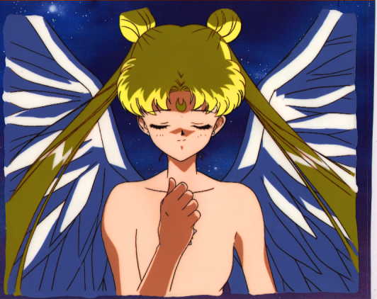   sailor moon sailormoon usagi usa SuperSailormoon                inner iner iners     