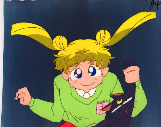   sailor moon sailormoon usagi usa SuperSailormoon                inner iner iners     