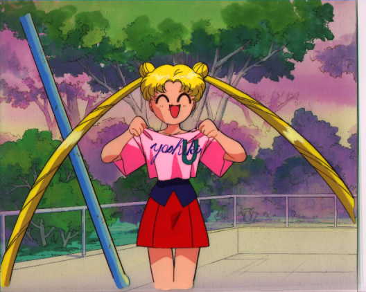   sailor moon sailormoon usagi usa SuperSailormoon                inner iner iners     