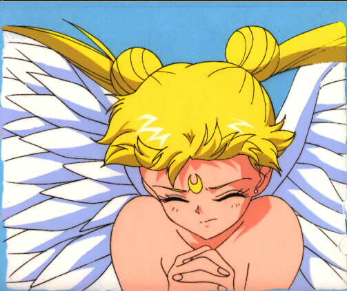   sailor moon sailormoon usagi usa SuperSailormoon                inner iner iners     