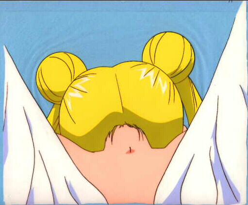   sailor moon sailormoon usagi usa SuperSailormoon                inner iner iners     
