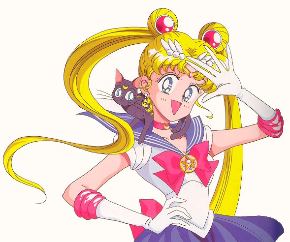   sailor moon sailormoon usagi usa SuperSailormoon                inner iner iners     