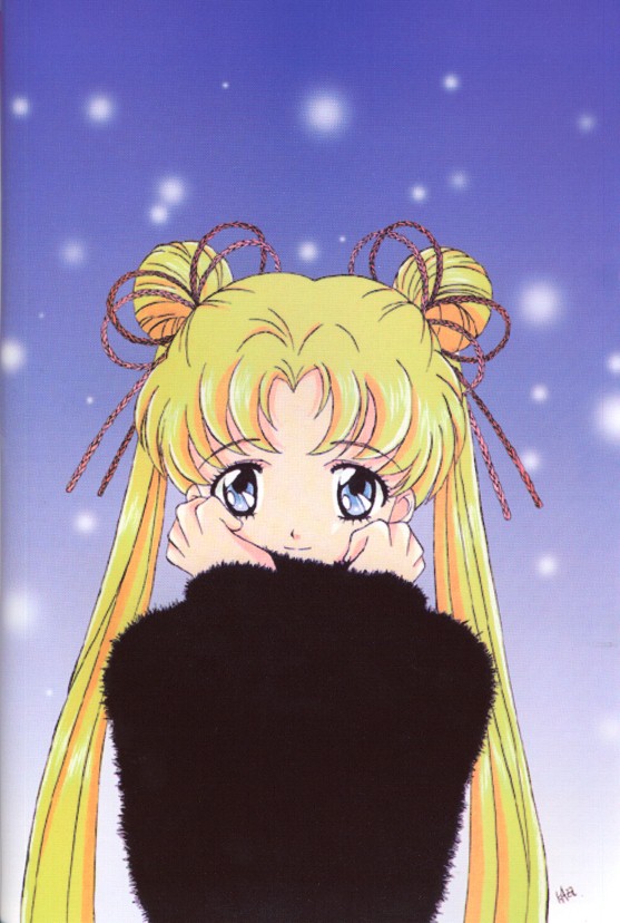   sailor moon sailormoon usagi usa SuperSailormoon                inner iner iners     