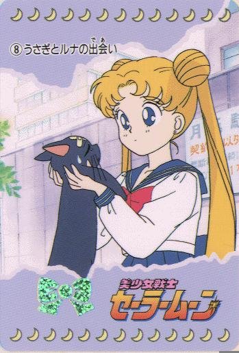   sailor moon sailormoon usagi usa SuperSailormoon                inner iner iners     