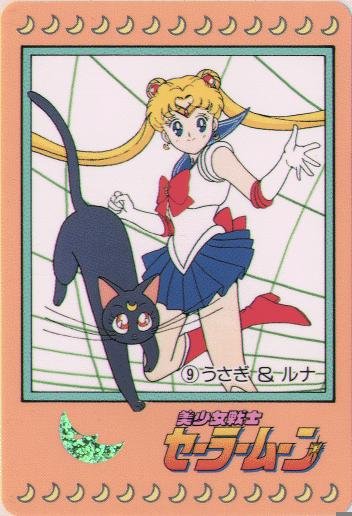   sailor moon sailormoon usagi usa SuperSailormoon                inner iner iners     