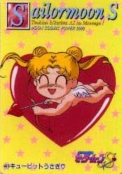   sailor moon sailormoon usagi usa SuperSailormoon                inner iner iners     