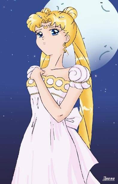   sailor moon sailormoon usagi usa SuperSailormoon                inner iner iners     