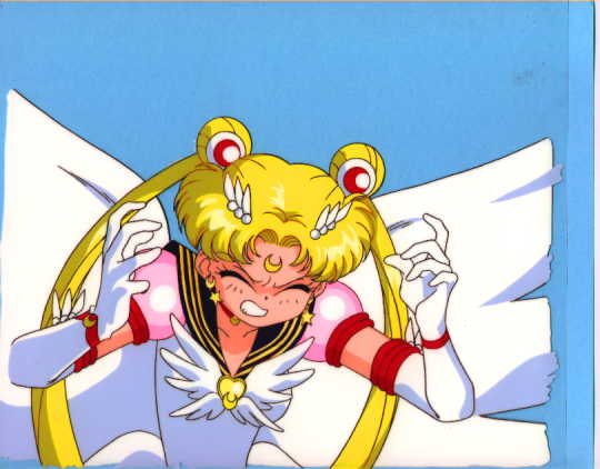   sailor moon sailormoon usagi usa SuperSailormoon                inner iner iners     