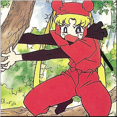   sailor moon sailormoon usagi usa SuperSailormoon                inner iner iners     