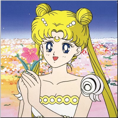   sailor moon sailormoon usagi usa SuperSailormoon                inner iner iners     
