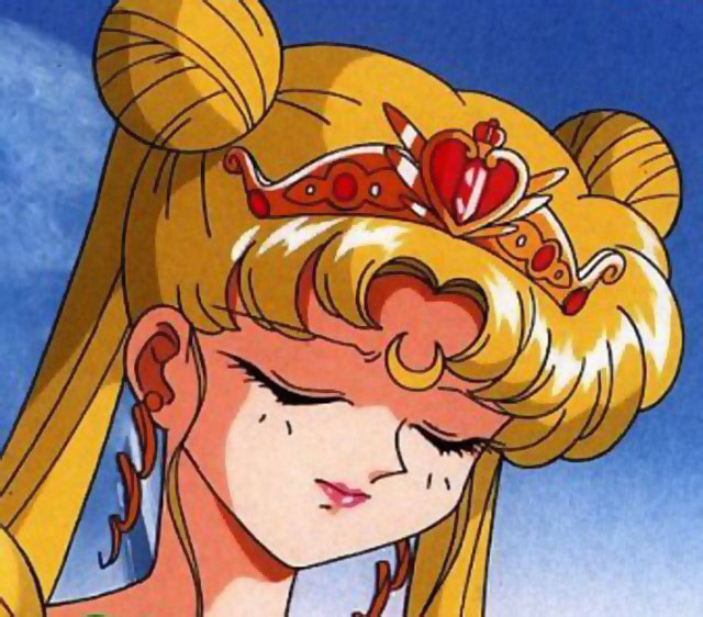   sailor moon sailormoon usagi usa SuperSailormoon                inner iner iners     