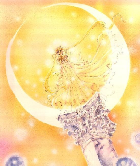   sailor moon sailormoon usagi usa SuperSailormoon                inner iner iners     