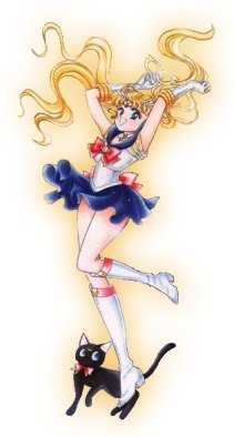   sailor moon sailormoon usagi usa SuperSailormoon                inner iner iners     